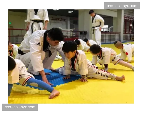 “格斗进校园”项目在澳大利亚启动,旨在推广女子防身与体育精神 “格斗进校园”项目在澳大利亚启动,旨在推广女子防身与体育精神